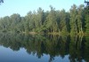 lesnaya_polyana_15 lesnaya_polyana_15
